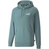 Puma Džemperis Vyrams Ess+ Hodie Tr Mineral Mint 847415 50