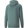 Puma Džemperis Vyrams Ess+ Hodie Tr Mineral Mint 847415 50