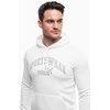 Puma Džemperis Vyrams Ess+ Logo Lab Hoodie Fl Baltas 681775 02