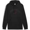 Puma Džemperis Vyrams Ess+ Logo Lab Hoodie Fl Juodas 681775 01