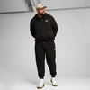 Puma Džemperis Vyrams Ess No.1 Logo Hoodie Juodas 682588 01