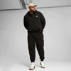 Puma Džemperis Vyrams Ess No.1 Logo Hoodie Juodas 682588 01