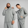 Puma Džemperis Vyrams Ess Small No. 1 Logo Hoodie Pilkas 682576 03