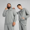 Puma Džemperis Vyrams Ess Small No. 1 Logo Hoodie Pilkas 682576 03
