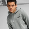 Puma Džemperis Vyrams Ess Small No. 1 Logo Hoodie Pilkas 682576 03