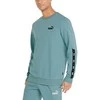 Puma Džemperis Vyrams Ess+ Tape Crew Žalias 847384 50