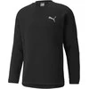 Puma Džemperis Vyrams Evostripe Crew Juodas 589418 01