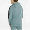 Puma Džemperis Vyrams Evostripe Full-Zip Mint 847401 50
