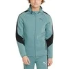 Puma Džemperis Vyrams Evostripe Full-Zip Mint 847401 50