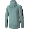 Puma Džemperis Vyrams Evostripe Full-Zip Mint 847401 50