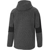 Puma Džemperis Vyrams Evostripe FZ Hood Pilkas 585811 01