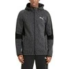 Puma Džemperis Vyrams Evostripe FZ Hood Pilkas 585811 01