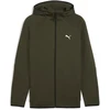 Puma Džemperis Vyrams Evostripe Fz Hoodie Khaki 688231 70
