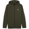 Puma Džemperis Vyrams Evostripe Fz Hoodie Khaki 688231 70