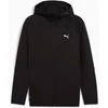 Puma Džemperis Vyrams Evostripe Fz Hoodie Juodas 688231 01