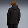 Puma Džemperis Vyrams Evostripe Fz Hoodie 692190 01