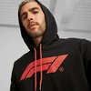 Puma Džemperis Vyrams F1 Ess Logo Hoodie Juodas 625853 01