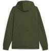 Puma Džemperis Vyrams Rad/Cal Full-Zip Žalias 675889 31