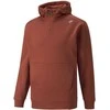 Puma Džemperis Vyrams Rad/Cal Half-Zip Brown 847436 23
