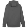 Puma Džemperis Vyrams Rad/Cal Half-Zip Pilkas 678914 80