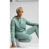 Puma Džemperis Vyrams Sport Hoodie Žalias 684619 30