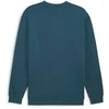 Puma Džemperis Vyrams Squad Crew Fl Cold Žalias 681794 22