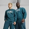 Puma Džemperis Vyrams Squad Crew Fl Cold Žalias 681794 22