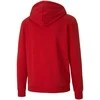 Puma Džemperis Vyrams TeamGoal 23 Casuals Hooded Raudona 656708 01