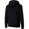 Puma Džemperis Vyrams teamGOAL 23 Casuals Hooded Juodas
