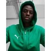 Puma Džemperis Vyrams TeamGoal Casuals Hooded Žalias 658595 05