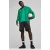 Puma Džemperis Vyrams TeamGoal Casuals Hooded Žalias 658595 05
