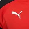 Puma Džemperis Vyrams TeamLiga 1/4 Zip Top Raudona Juodas 657236 01