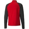 Puma Džemperis Vyrams TeamLiga 1/4 Zip Top Raudona Juodas 657236 01
