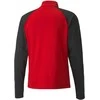 Puma Džemperis Vyrams TeamLiga 1/4 Zip Top Raudona Juodas 657236 01