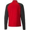 Puma Džemperis Vyrams TeamLiga 1/4 Zip Top Raudona Juodas 657236 01