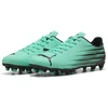Puma Futbolo Avalynė Vyrams Attacanto II Fg/Ag Žalias 108493 08