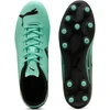 Puma Futbolo Avalynė Vyrams Attacanto II Fg/Ag Žalias 108493 08