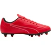 Puma Futbolo Avalynė Vyrams Classico Fg Raudona 108841 05