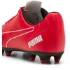 Puma Futbolo Avalynė Vyrams Classico Fg Raudona 108841 05