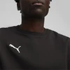 Puma Futbolo Džemperis Vyrams TeamGoal Casuals Crew Neck Juodas 658592 03