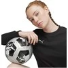 Puma Futbolo Kamuolys Big Cat Ball Juodas Pilkas 084214 03