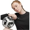 Puma Futbolo Kamuolys Big Cat Ball Juodas Pilkas 084214 03