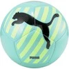 Puma Futbolo Kamuolys Big Cat Electric Žalias 083994 02