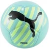 Puma Futbolo Kamuolys Big Cat Electric Žalias 083994 02