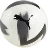 Puma Futbolo Kamuolys Care Ball Baltas Juodas 084346 03
