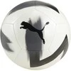 Puma Futbolo Kamuolys Care Ball Baltas Juodas 084346 03