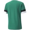 Puma Futbolo Marškinėliai Vyrams TeamRise Jersey Žalias 704932 05