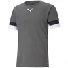 Puma Futbolo Marškinėliai Vyrams TeamRise Jersey Pilkas 704932 13