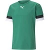 Puma Futbolo Marškinėliai Vyrams TeamRise Jersey Žalias 704932 05