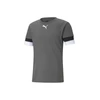 Puma Futbolo Marškinėliai Vyrams TeamRise Jersey Pilkas 704932 13